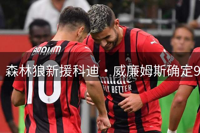 森林狼新援科迪·威廉姆斯确定9号战袍