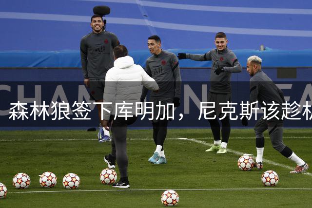 森林狼签下库明加，尼克斯该趁机引进迪温琴佐吗？